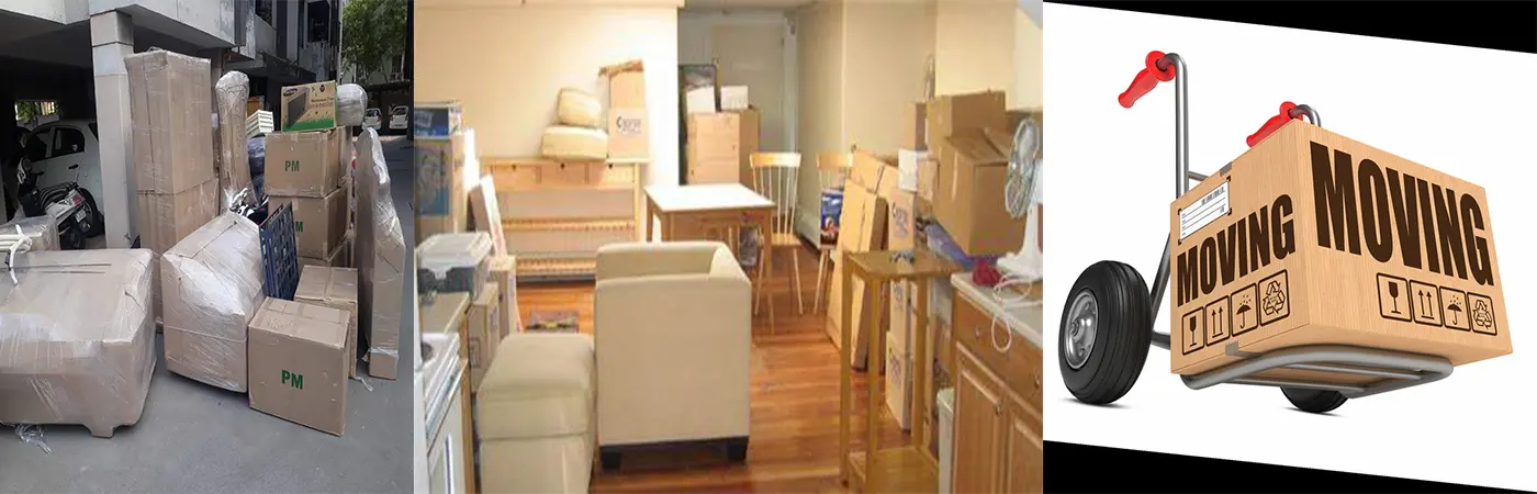 PRC packers and movers Chennai To Delhi