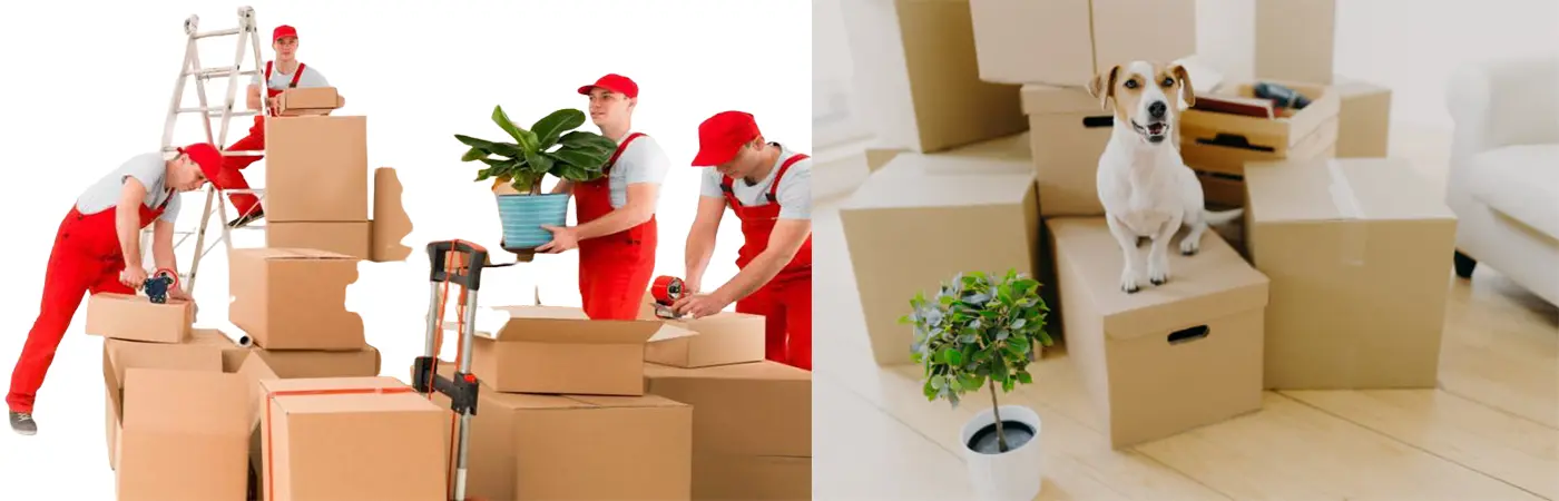 PRC packers and movers Pune To Chennai